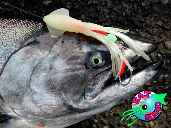 Salmon Fishing Maps  SquidPro Tackle's Salmon Chronicles