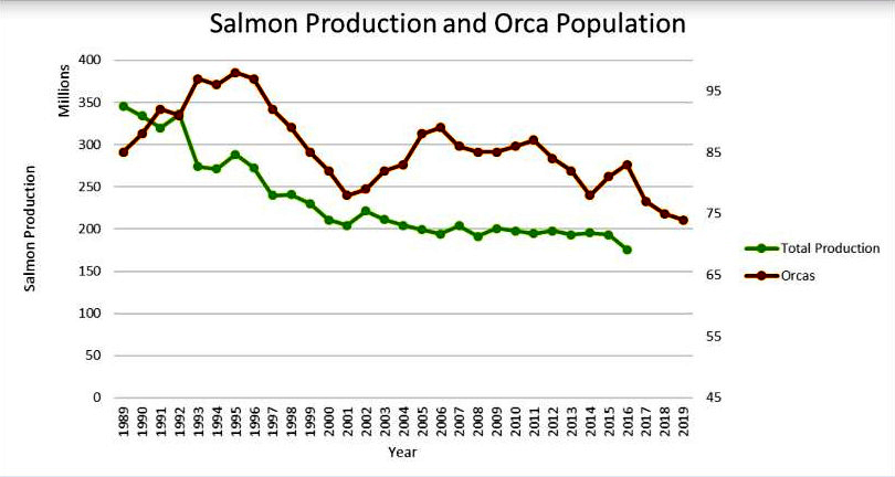 Orca and salmon decline graph